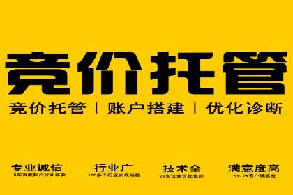SEM搜索引擎优化策略解析与应用案例
